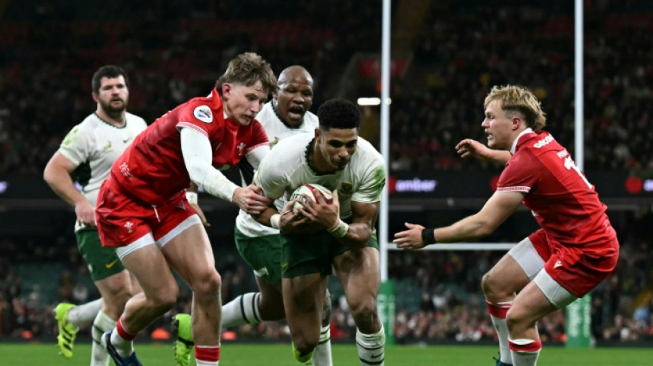 South Africa inflict record 73-0 home defeat on Wales