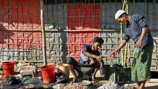 Facebook debe una "indemnizaci&oacute;n" a los rohiny&aacute;s de Birmania por mensajes de odio (Amnist&iacute;a)