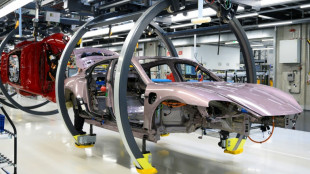 Europ&auml;ische Autohersteller gehen von weiterem Absatzr&uuml;ckgang in diesem Jahr aus