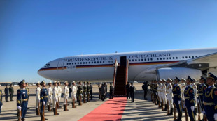 Bundesregierung erh&auml;lt weiteren neuen Regierungsflieger mit Sonderausstattung