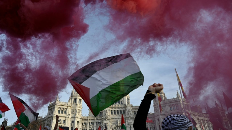 Espagne: 20.000 manifestants contre le "g&eacute;nocide" &agrave; Gaza 