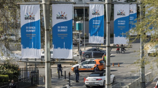 Sommet des Brics: les pays &eacute;mergents en qu&ecirc;te d'influence
