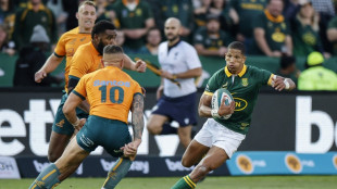 Springboks must not get carried away after Australia rout - coach