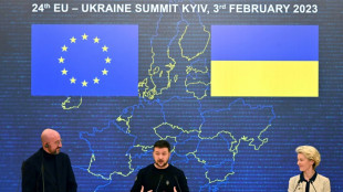EU-Ratspr&auml;sident sieht Zukunft der Ukraine bei der EU