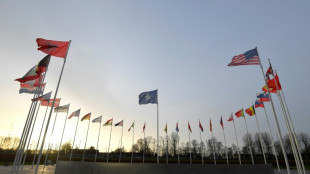 Weniger als die H&auml;lfte der Deutschen unterst&uuml;tzt Nato-B&uuml;ndnisverpflichtungen