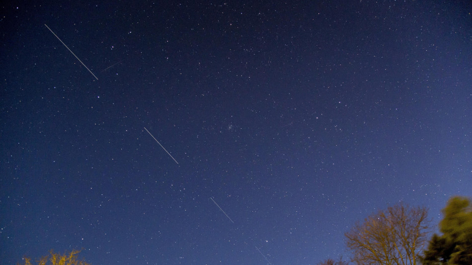 'Musk sta offrendo l'internet di Starlink gratis in Iran'