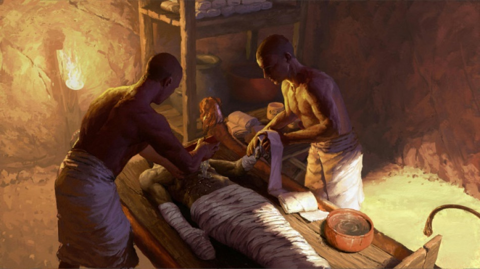 R&eacute;sines d'Asie, huile de c&egrave;dre et bitume de la mer Morte pour les momies d'Egypte