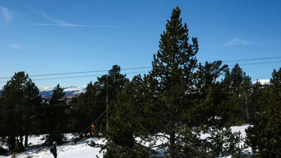 Ski: d&eacute;but de saison prometteur dans les Pyr&eacute;n&eacute;es