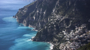 ++ L'agricoltura di Amalfi diventa patrimonio mondiale RPT ++