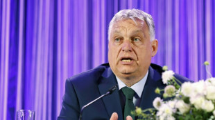 La Hungr&iacute;a euroesc&eacute;ptica de Vikor Orban asume la presidencia semestral de la UE