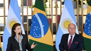 Argentina "jam&aacute;s interferir&aacute;" en asuntos de Brasil, dice canciller tras apoyo de Milei a Musk