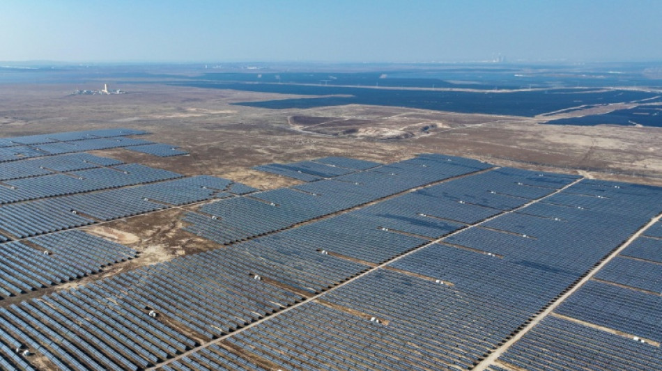 China's rapid solar expansion hurt bird diversity: study