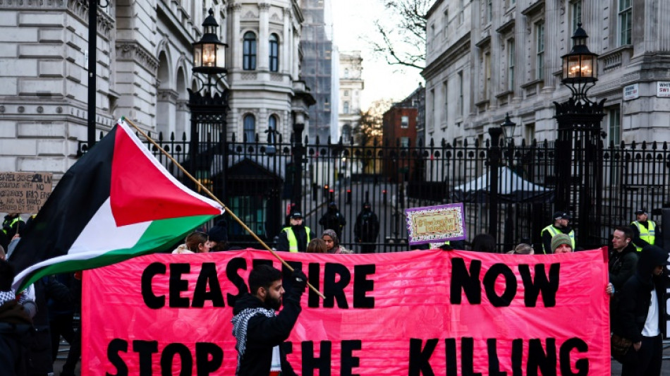 Nouvelle manifestation d'ampleur en soutien aux Palestiniens &agrave; Londres