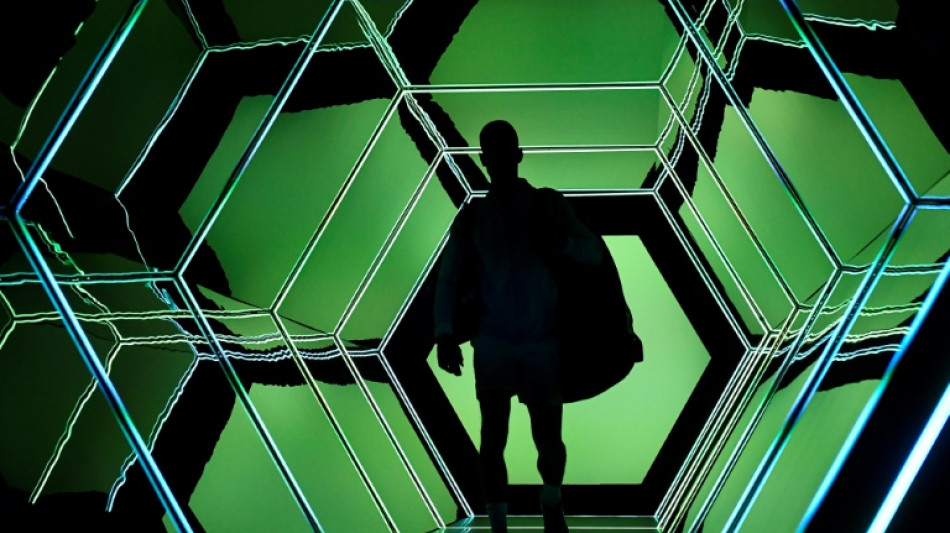 Bugs, dogs and snubs: Six sports offbeat stories in 2022