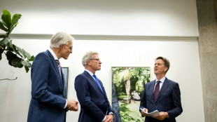 El nuevo gobierno neerland&eacute;s quiere endurecer al m&aacute;ximo su pol&iacute;tica de asilo