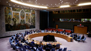 Nouveau vote au Conseil de s&eacute;curit&eacute; pour d&eacute;signer le prochain chef de l'ONU