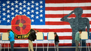 "Republikanische Welle" bei US-Kongresswahlen bleibt vorerst aus