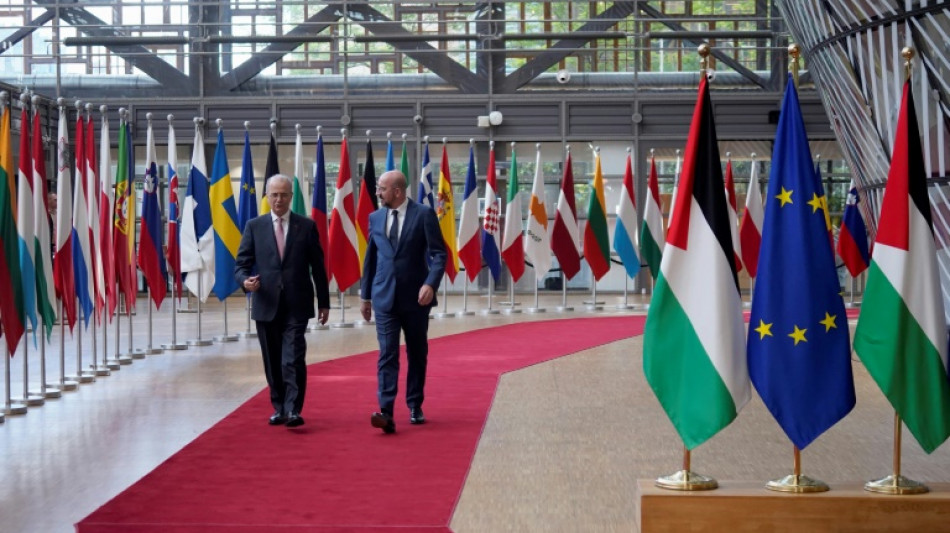 Un grupo de pa&iacute;ses discute en Bruselas el fortalecimiento de la Autoridad Nacional Palestina
