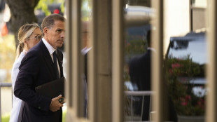 Juicio oral contra el hijo de Biden en EEUU profundiz&oacute; en sus adicciones