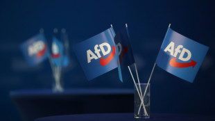AfD scheitert mit Berufung gegen Urteil in Spendenaff&auml;re um Fraktionschefin Weidel