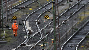 Bahngewerkschaft EVG will Wahl neuer Bahnspitze verhindern