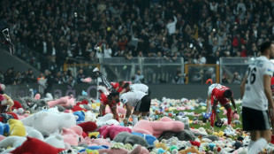 Besiktas-Fans fordern in Sprechch&ouml;ren R&uuml;cktritt der t&uuml;rkischen Regierung