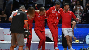 Djokovic hopes for warm welcome on Australian Open return