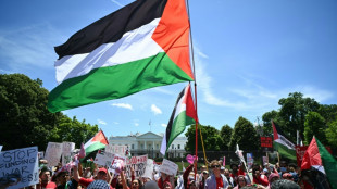 Miles de manifestantes propalestinos protestan en Washington contra las pol&iacute;ticas de Biden