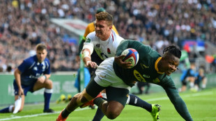 Springbok World Cup winner Nkosi quits Bulls after troubled season