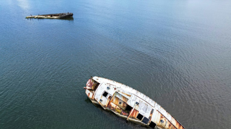 Una oportunidad para la vida marina en el cementerio de barcos de Panam&aacute;