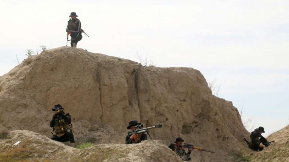 Irak mata a diez yihadistas durante una operaci&oacute;n en el desierto
