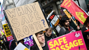 Demonstranten protestieren in London gegen Pl&auml;ne f&uuml;r versch&auml;rftes Asylrecht 