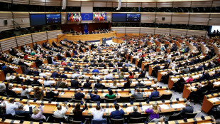 Los franceses son los m&aacute;s pesimistas sobre la UE ante las elecciones de junio
