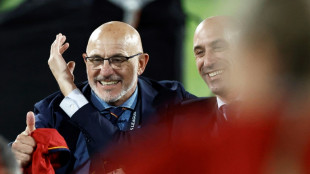 Spain's Nations League triumph calms fears around De la Fuente project