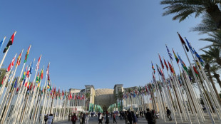 "Course contre la montre" &agrave; Duba&iuml; pour &eacute;crire une page d'histoire &agrave; la COP28