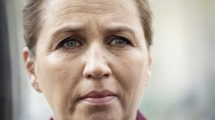 La primera ministra danesa anula sus compromisos el s&aacute;bado tras ser agredida