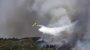 Incendi in Portogallo, quest'anno già arrestate 26 persone