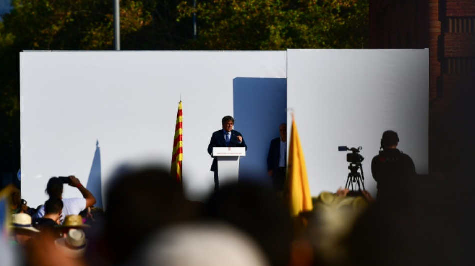 "Nunca tuve la intenci&oacute;n de entregarme" a la justicia espa&ntilde;ola, afirma Puigdemont