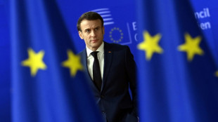 EU-Staaten wollen US-Subventionen kontern - Mittel umstritten