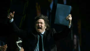 Comienzan a regir en Argentina las reformas econ&oacute;micas de Milei