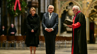 Rede vor britischem Parlament: Steinmeier ruft zur Verteidigung von Freiheit und Demokratie auf
