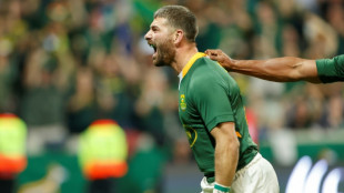Le Roux returns for Springboks to counter France's 'unique' kicking game