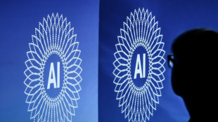 OpenAI, Anthropic e Google buscam criar &oacute;rg&atilde;o de supervis&atilde;o de riscos da IA