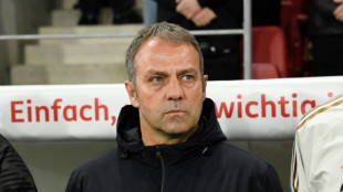 Flick promises to 'excite' Germany fans with new style