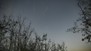 AFP-Reporter: Russische Armee feuert nahe Bachmut Phosphorbomben ab