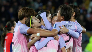 Japan fly in under radar to make case for World Cup glory
