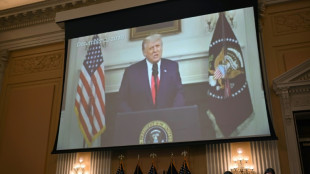 Bericht: U-Ausschuss zu Kapitol-Erst&uuml;rmung pr&uuml;ft drei Straftatbest&auml;nde gegen Trump