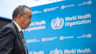 El alcohol provoca 2,6 millones de muertes al a&ntilde;o en todo el mundo, advierte la OMS