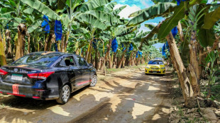 Panam&aacute; espera fechar acordo para volta de empresa bananeira dos EUA