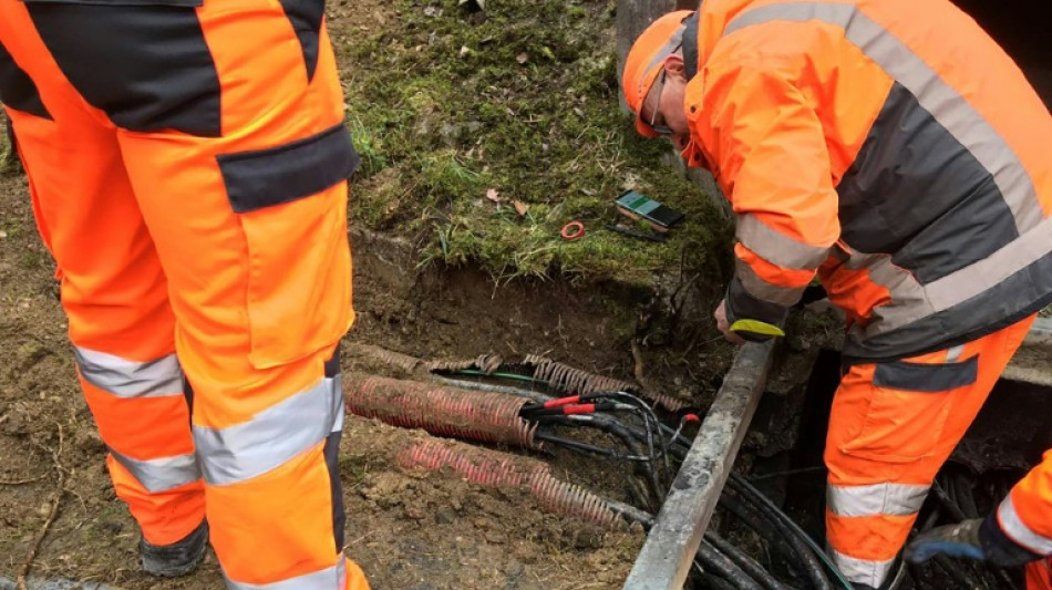 Gare de l'Est: r&eacute;parations en cours, le trafic se r&eacute;tablit plus vite que pr&eacute;vu